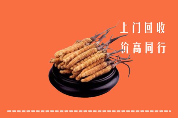 高价求购：港口镇回收散虫草