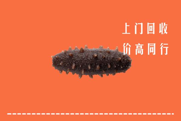高价求购：港口镇回收海参